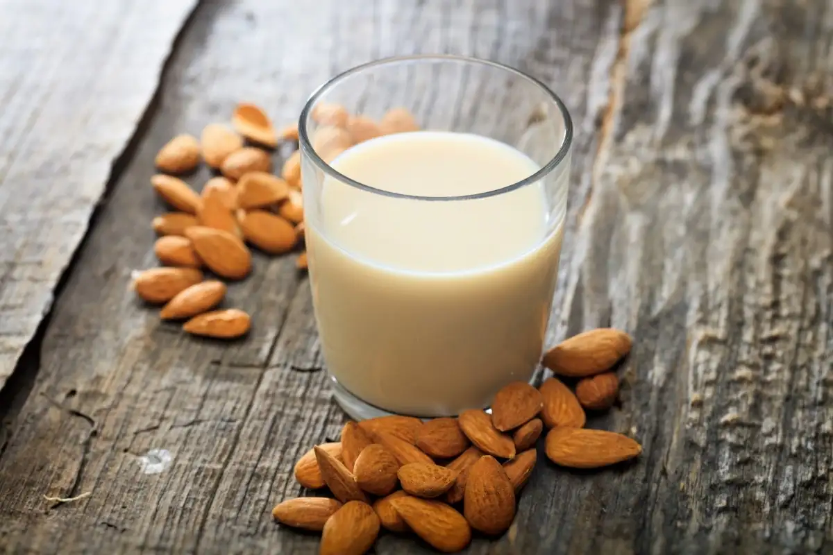 Lait végétal